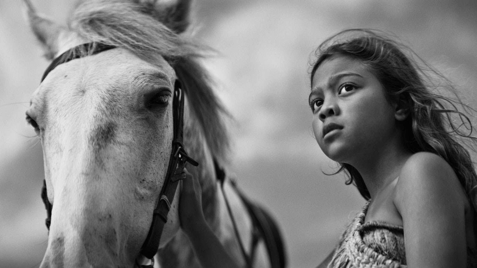 First Horse First Horse