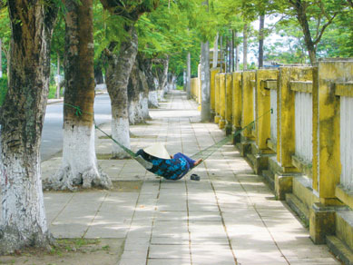 Betel Tree, The Betel Tree, The